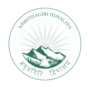 675c07d3d8f41f496c52dc84_amritha girri flex logodark gree